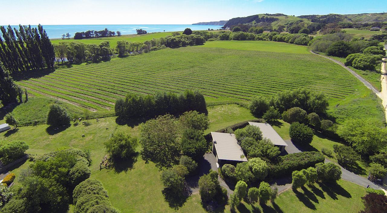 Te Awanga Cottages Exteriér fotografie